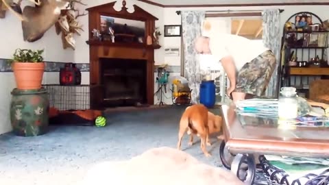 UNBELIEVABLE! Try Not to Laugh Challenge 😆 Best Hilarious Videos Compilation Ever! 😂😁