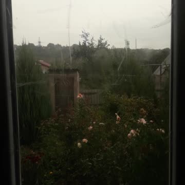 Today's view from the window