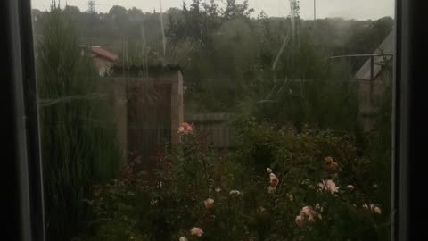 Today's view from the window