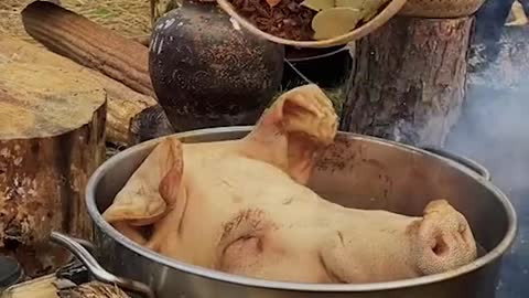 This pig’s head is even bigger than mine. 🐷🐷😂😂😂