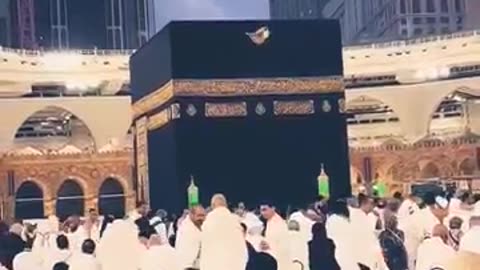 Tasbih 💖🌺#naat #makkahmadeena #allahuakbar #makkah #madina #stutus