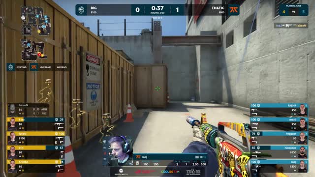 ROEJ ACE — CSGO #csgo #roeJ #BIG #fnatic