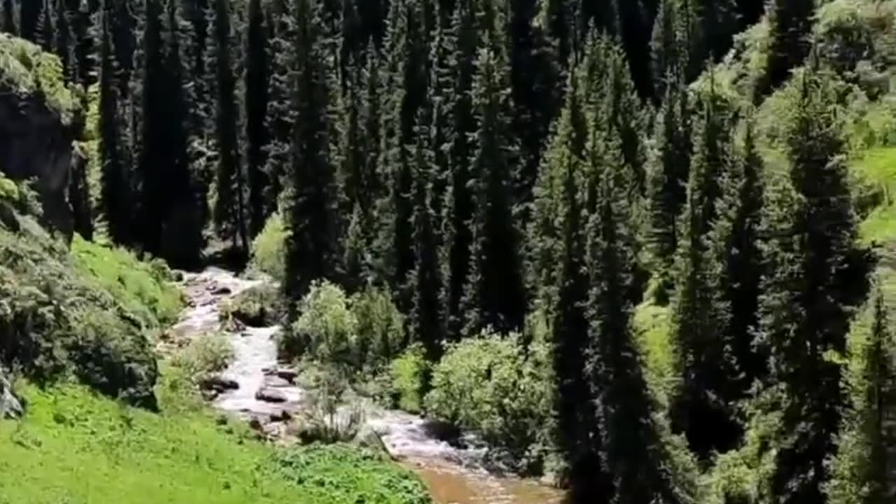 Nature View