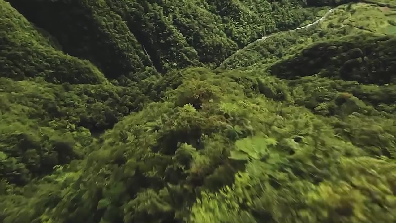 Natural view trending song