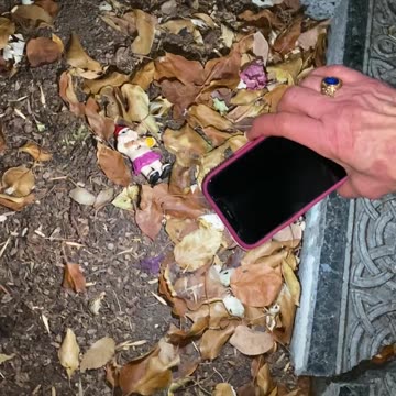 #MurphDocU: #mygrandfather Flat Pat has a visitor in the backyard - a #gnome without a name