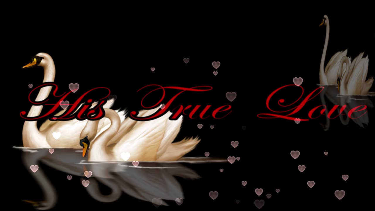 Scripture Meditation ] His True Love 002