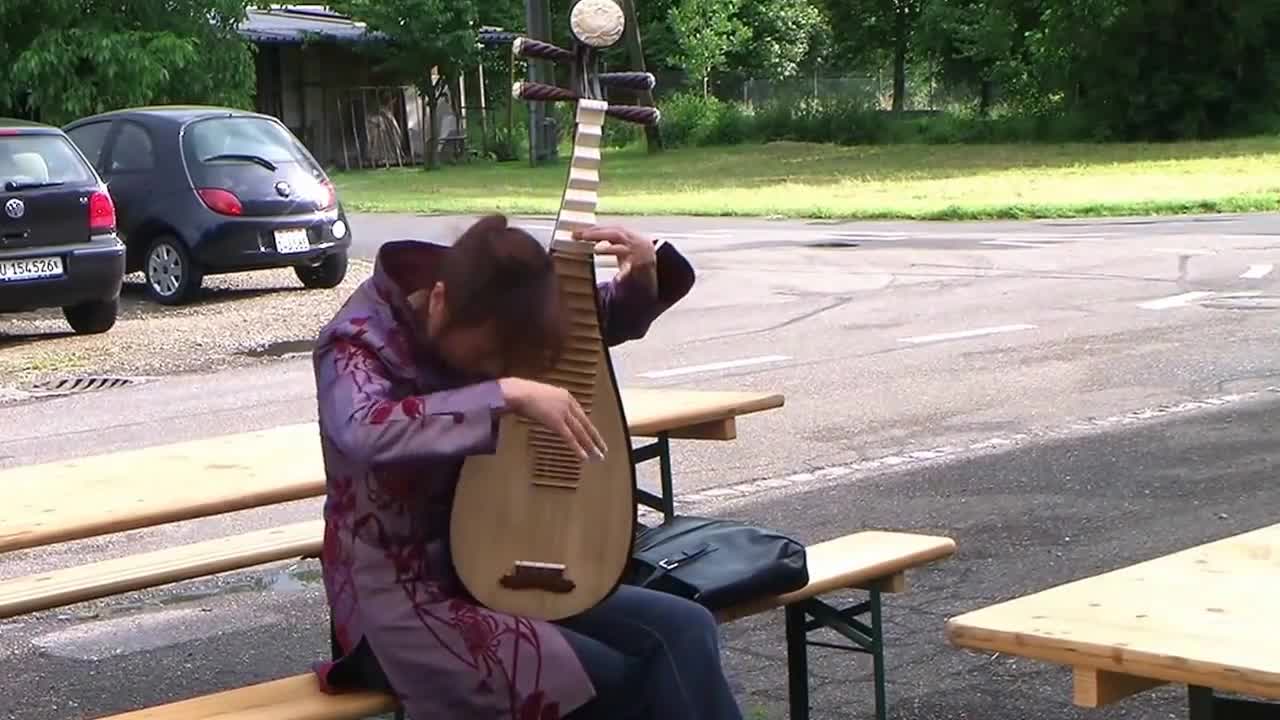 Amazing Chinese Pipa Performance