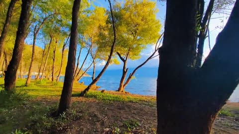 I hope that the summer wind will blow away all the regrets,暑假,洱海