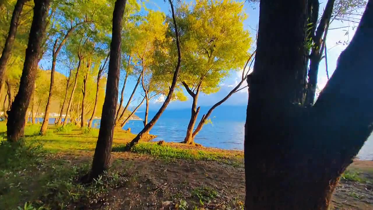 I hope that the summer wind will blow away all the regrets,暑假,洱海