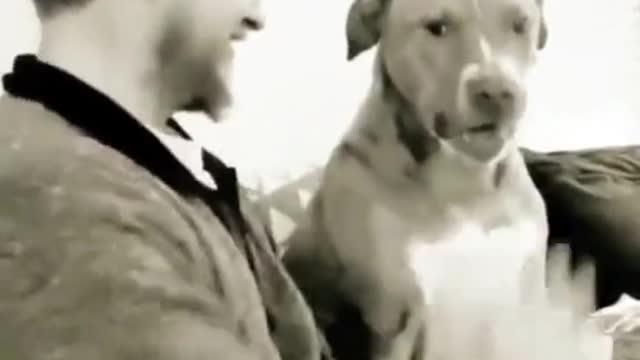 The funniest videos of the day