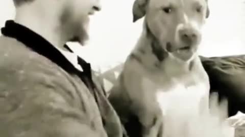 The funniest videos of the day