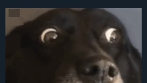 Horre meme