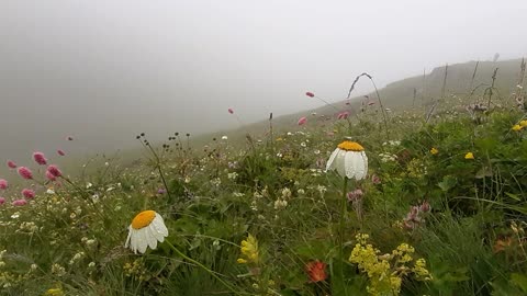 VIEWS FROM THE PLATEAU-32