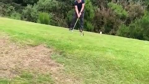 Wait for it…🏌️#ukmemes #britishmemes #greatbritishmemes