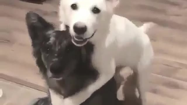 Give a hug