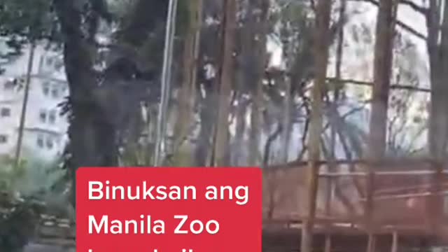 Bukas daw si Manila Mayor2Isko Moreno...