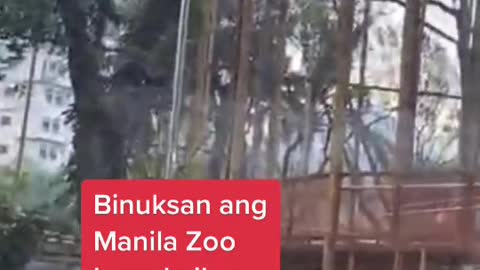 Bukas daw si Manila Mayor2Isko Moreno...