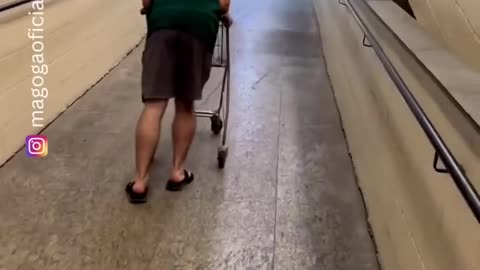The end 😂😂😂 #funny #viral #shorts #funnyvideos #trustedhumor (1)
