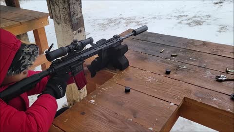 18'' 223 WYLDE