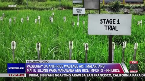 Pagbuhay sa Anti-Rice Wastage Act, malaki ang maitutulong para mapababa ang rice imports
