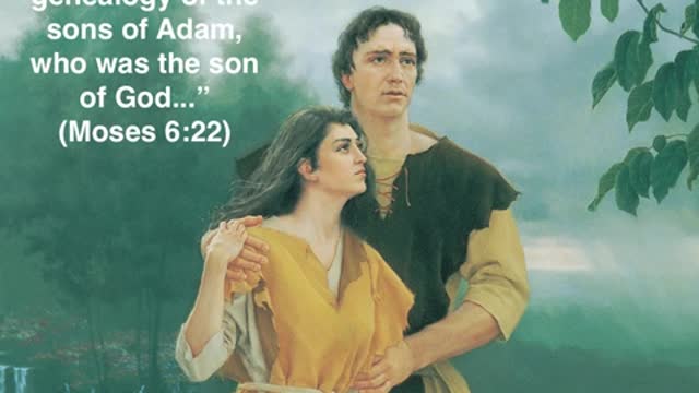 Adam Had a Father