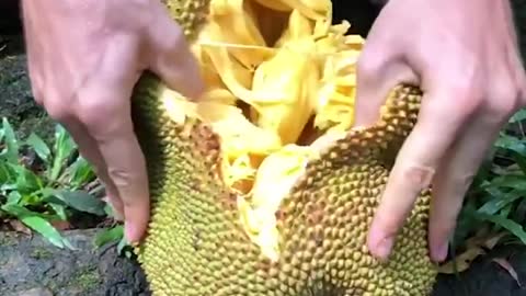 13 Extraordinary Fruits Around The World