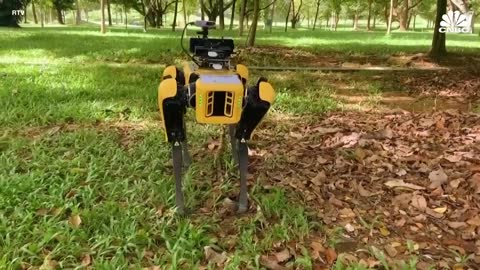 Watch this robotic dog encourage park-goers to practice social distancing in Singapore