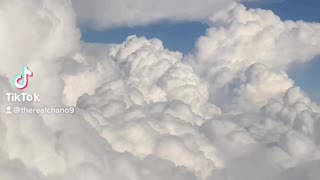Coming home