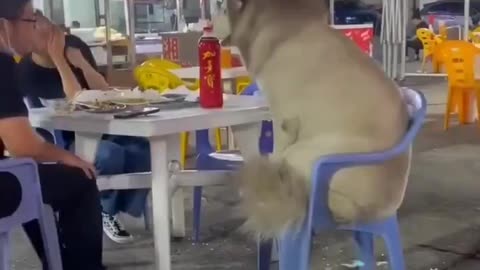 The best kind of date..🐕🐾😅
