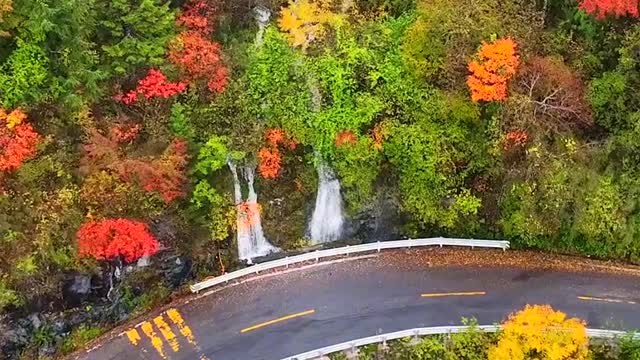 How beautiful autumn is! The Great Nine Lakes meet the golden autumn
