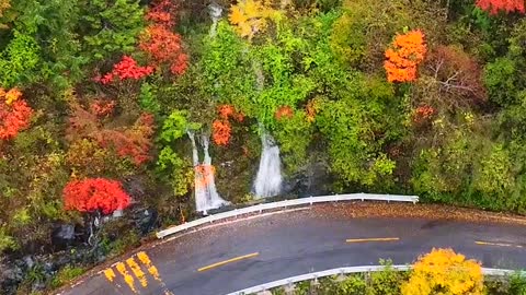 How beautiful autumn is! The Great Nine Lakes meet the golden autumn