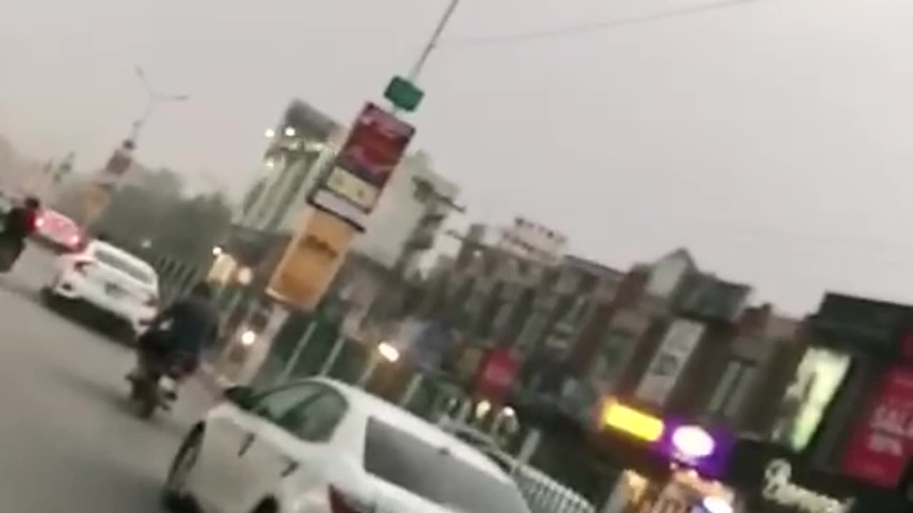 car lover