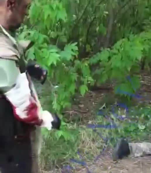 AZOV Broke Stick Crawl