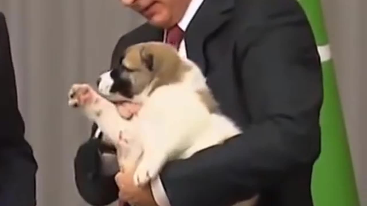 || Putin's kindness ||