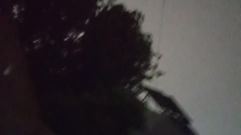 Rainy night