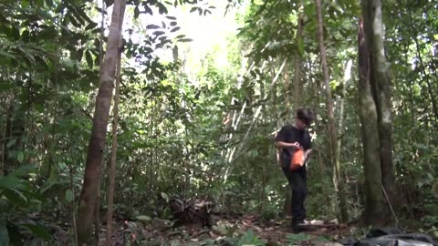 24 hours survival in the forest.