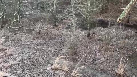 Laipa kutzung ram kalnak