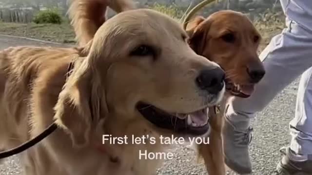 getting all emotional