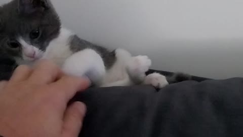 Rescued kitty 😺