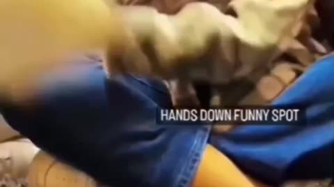 Funny video most funny video