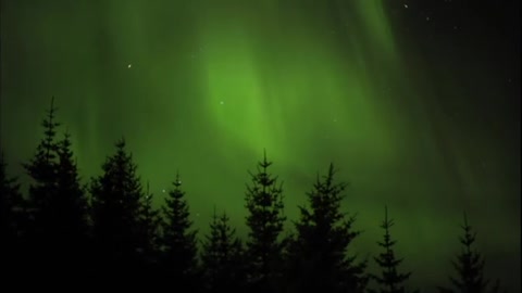 The Aurora Borealis, Northern lights, Nordlys in Lofoten, Norway
