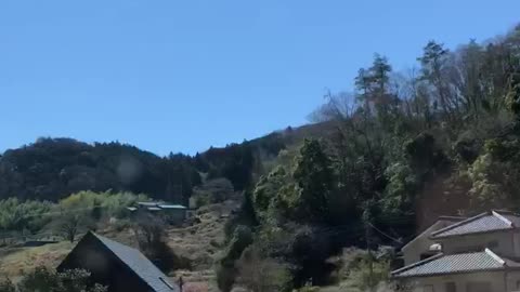 Springtime drive Japan