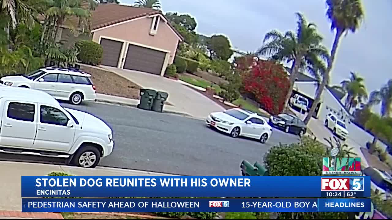 Stolen Dog Reunites with His Owner