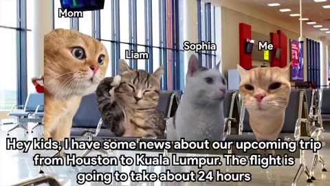 Meow Madness: Epic Cat Shenanigans Unleashed!