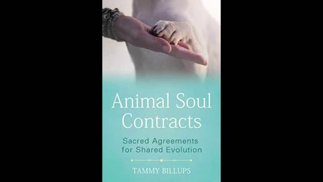 Sacred Connection Between Pets and Humans with Tammy Billups and Zoh Hieronimus