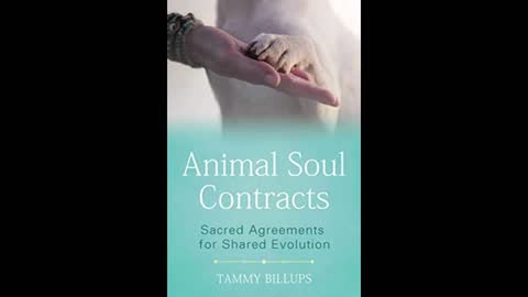 Sacred Connection Between Pets and Humans with Tammy Billups and Zoh Hieronimus