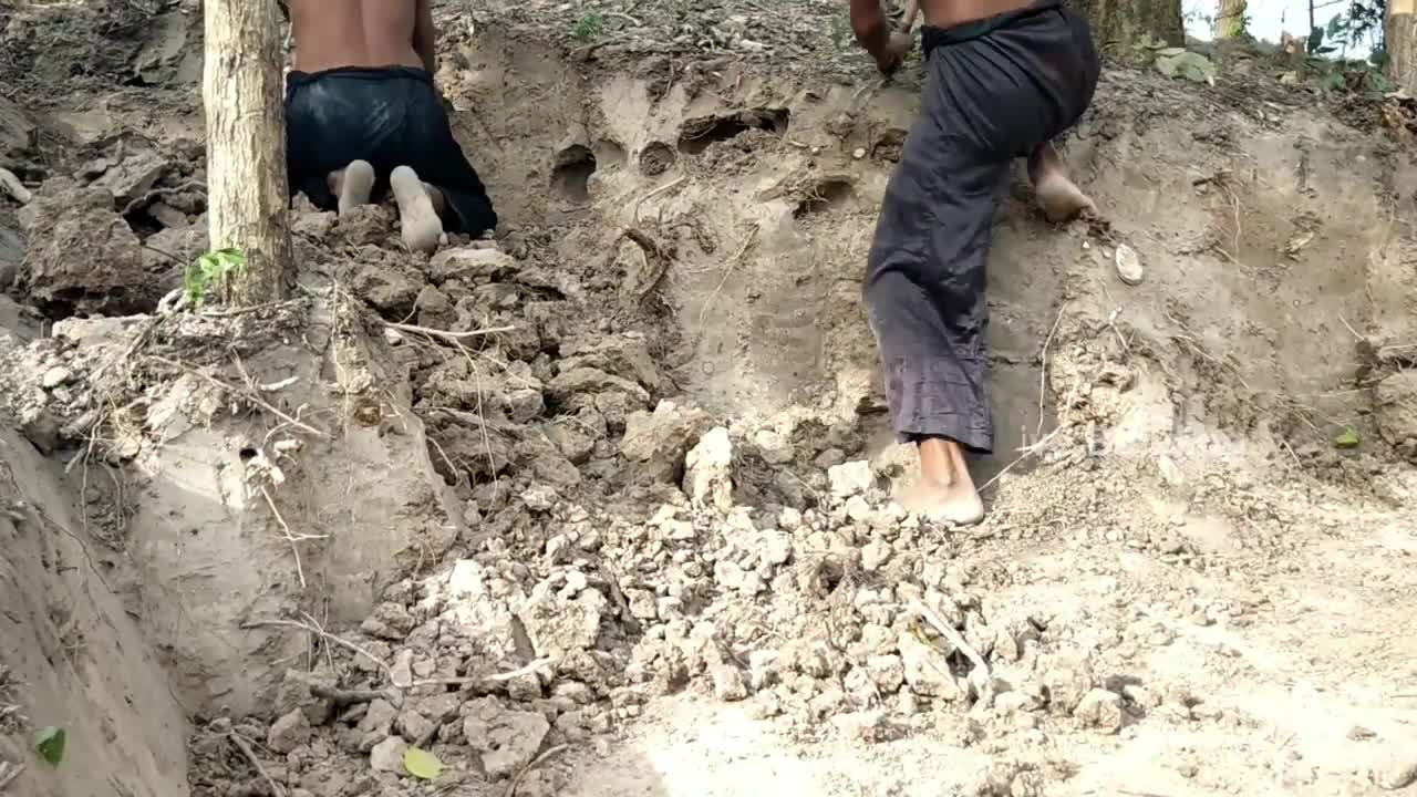 Build The Most Beautiful Buffalo House