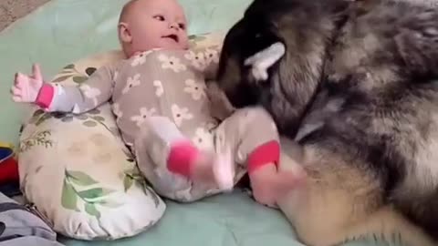 Cute doggy take care 💅😘 baby 🐥🍼