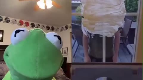 Funny Tiktok Videos