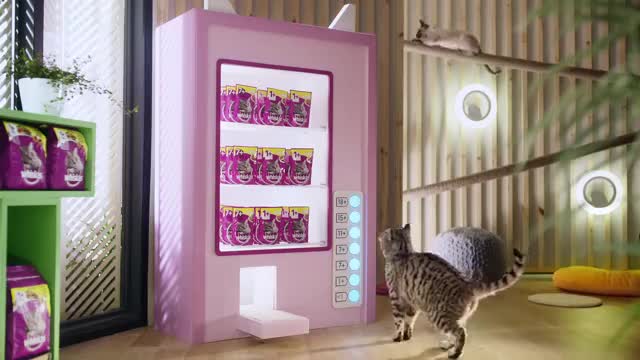 Ageing Fabulously for Cats - Whiskas K.I.T._2